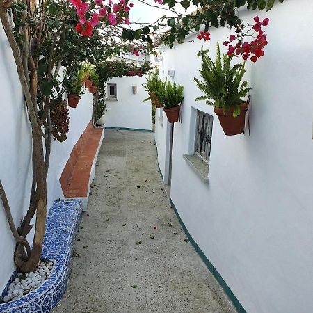 La Chanca Hotel Conil De La Frontera Eksteriør billede